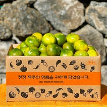 제주 감귤 햇 노지 타이벡 감귤 극조생 조생 서귀포 효돈감귤, 타이벡감귤, 20.조생 프리미엄(S) 2.5kg