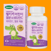 한미메디케어 웰키커 어린이 철분 앤 비타민C 100mg 120정, 1개