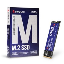 [BIOSTAR] M760 M.2 NVMe 512GB, 1