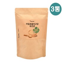 신제품 맛있는 요구르트맛 식물 모유 유래 유산균 분말 핵심 복합 균주 액션 신바이오틱스 포스트바이오틱스 프리바이오틱스 fos 프로바이오틱스 프로바이오 자일로올리고당 프락토올리고당 가루 장내 환경 개선 유익균 비피더스균 증식 특집, 3봉, 150g