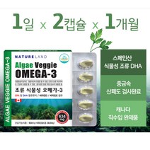 임산부 오메가3 식물성 dha 60캡슐