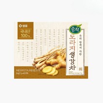 순작 도라지생강차 티백 120T