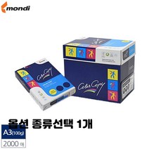 레이저 프린터용 A4 A3 복사 에이포 용지 100g 135g 160g 90g 미색 유광 백색 종류선택 1개, A3 백색 100g 2000매