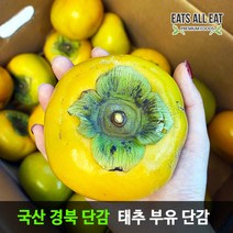 이츠올릿 프리미엄 태추 단감 5kg 중 (21~23과) 땡감 진영 부유 대추 창원 청도 창녕, 5kg (21~23과), 1개