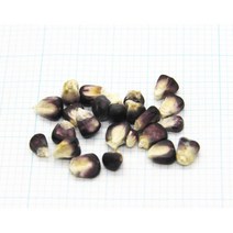 꼬마흑찰옥수수 소 1컵, 1개