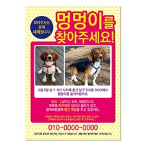 반려견찾기애완실종전단지 고양이 실종 강아지를찾아주세요 디자인무료, 샘플5, 100매