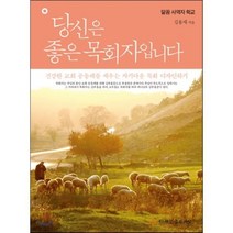 당신은 좋은 목회자입니다:건강한 교회 공동체를 세우는 자기다운 목회 디자인하기, 좋은씨앗