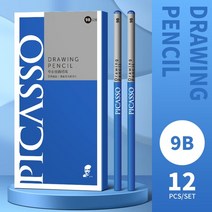 미술용품 피카소 12 pcs 스케치 연필 블랙 세트 아티스트를 위한 드로잉 연필 세트 스케치 숯 연필 스케치 드로잉 아트, 9b x12