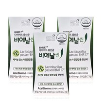 비엔나17 비엔알 비앤알 비애날씬 17 분말 가루 가세리 추천 비에날씬 락토바실러스 3개