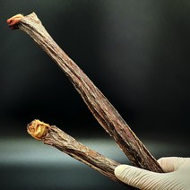 도기플라워 한우 소우신 한우말이 20cm 1p 카우스틱 소우신 오래먹는 이갈이 소형견 중형견 대형견 강아지 수제개껌