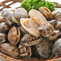 고창 하전갯벌 해감 참바지락1kgX5팩, 단품, 상세설명 참조