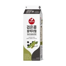 서울우유 검은콩 블랙라벨 900ML (보냉백/아이스박스中택1), 옵션1 - 보냉백포장 (보냉백+아이스팩)