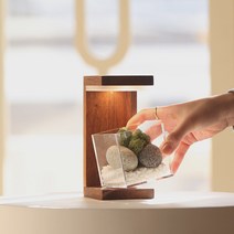 모던포인트 원목 플랜테리어 스칸디아모스 식물 LED 유선 무드등, 브라운 멀바우