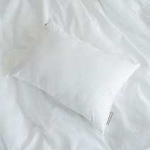 [에어룸] 알러셀 알러지케어 기능성 쿠션솜_50x35, 사이즈:50X35