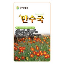 나팔꽃 6g - 야생화 씨앗 꽃씨 씨 꽃씨앗 나팔꽃씨앗 나팔꽃씨 야생화씨 야생화씨앗, 17_다농_만수국(80립)