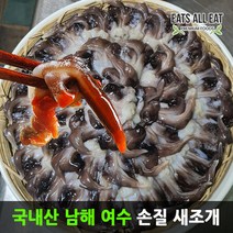 이츠올릿 국산 남해 새조개 손질 500g 여수 제철 코끼리 남당리 남당항 택배, 1개