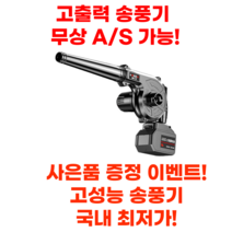 독일기술 송풍기 무선 소형 엔진 낙엽 청소기 차량용 미니 세차용 충전, 대용량 배터리 2개