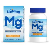 슬로우맥 SlowMag Mg 염화마그네슘+칼슘 120정, 1개, 1개