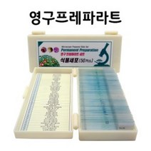 중학교 현미경 식물세포 슬라이드표본 과학놀이 연구실 미세구조 초등학생 홈스쿨링