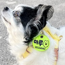 주문제작 강아지 야간산책 LED 목걸이 인식표 네임택 형광 네온 야광 이름표 (양면자수), 형광노랑+파랑글씨