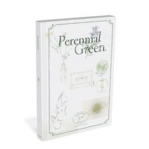 [RIO] 리오 Perennial Green / 1. 그린옐로 2. Shibuya 3. Rain & Apple 4. Saturn 5. 미술관, 2개