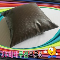 [KT알파쇼핑]35레자쿠션모음5레자쿠션쿠션+압축솜쿠션예쁜쿠션, 1번_W404C0B