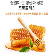 프로폴리스 아연 세포보호 면역기능 향상 플라보노이드 식약처인증 꿀벌 항산화 도움 캐나다 생산 완제품 직수입, 12개월분