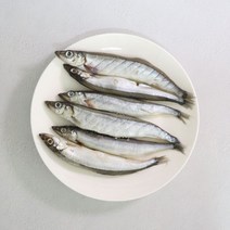 알이 가득한 열빙어 시사모 구이 500g