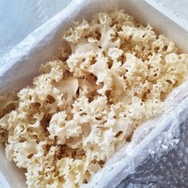 국내산 무농약 최상급 생 꽃송이버섯 1kg, 1개