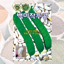 백미작두콩씨 10립 콩씨 씨앗 대장 KS종묘