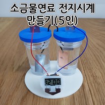 소금물연료전지시계만들기(5인) aco-127