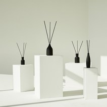 러쉬 Type 디퓨저 리필용 200ml 500ml 비아퍼퓸 트와일라잇 바닐라리 아메리칸크림 더티 로즈잼 대디오 리햅 카마 가디언오브더포레스트 빅, 가디언 오브 더 포레스트 NEW