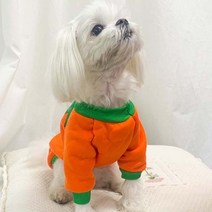 바보사랑 펫 할로윈 펌프킨 의상.파티클럽, M／보험가입