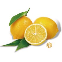 MSC 팬시 레몬 20-40과 옵션선택, 1box, 레몬 소(100g) 20과