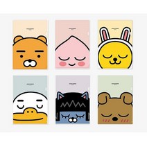 (디머스) 카카오프렌즈 L자 홀더 ㄱ자 화일 낱장 화일 10장입, 튜브