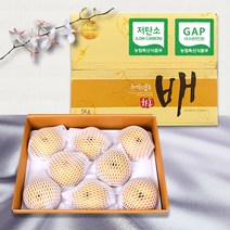 과일 배 선물 세트 고급 제수용 프리미엄 병문안 명절 선물세트 추석 설, 1박스