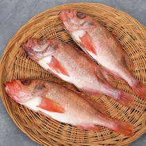 손질 적어 27~30cm 32~35cm 3마리 제수용생선, 27~30cm전후