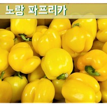 국산 못난이 노랑 파프리카 상 1KG