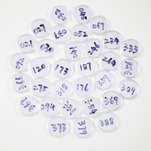NS 게임 시리즈 3 용 NFC 271 카드 작업 동물 횡단 (300 ~, 16 279 Biskit