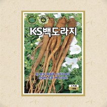 백도라지씨 1000립 도라지 씨앗 대장 KS종묘