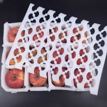 과일포장박스 스티로폼 칸막이 선물 보호 포장 100개, 12그리드 70mm 스트레치 트레이x100