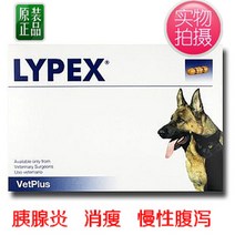 라이펙스 Lypex Capsules 60 캡슐 췌장 효소