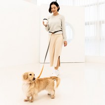 스탠다드펫 강아지 리드줄 핸즈프리 충격방지 탄성기능 벨트, 목줄 M ( 20mm )