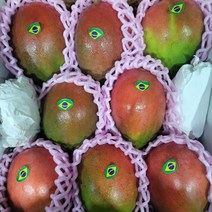 스윗프레시 애플망고 망고 브라질 케이트 항공직송 프리미엄, 4kg (7-10과), 1개