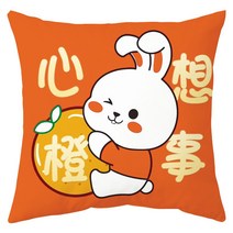 거실 침대 자동차 쇼파 소파 쿠션 이케아 당근 선물 제작 화난 애착DIY 애착 대황 꽃다발 출산선물 미니 움직이는 대형 도매, E