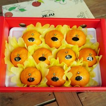 제주 카라향 2kg 3kg 5kg 가정용 선물세트, 카라향 선물세트 3kg