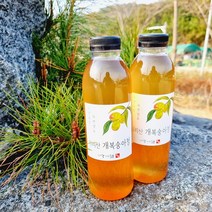 지리산 개복숭아청 500ml 자연숙성 발효액 원액 효소 수건식품, 오미자청 500ml + 개복숭아청 500ml