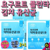 실버 아연 100억 요구르트 플란타 김치 프로바이오틱스 영양제 스틱 면역 LACTOFERRIN lgg 보장 어른 효소 혼합 부모님 속편한 공복 차세대 람노스 LACTO RGG 생