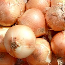 국산 2022년 햇 양파 4kg 특대 중 소과 장아찌용 황토양파 달고 시원한, 02 양파중과4kg, 1개
