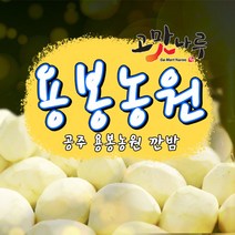 푸드삼대장-공주밤 공주알밤 안전포장, 공주 햇 밤 특대 4.0KG